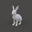Hare_1.1.jpg Hare Figurine