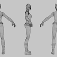 Wireframe.png Catwoman Lowpoly Rigged