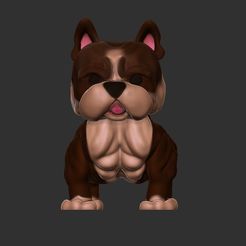 c1.jpg pop américan bully