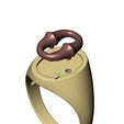 volume2.jpg Bone link insert signet ring US sizes 7to10 3D print model