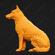 1618-Belgian_Shepherd_Dog_Laekenois_Pose_05.jpg Belgian Shepherd Dog Laekenois Dog 3D Print Model Pose 05