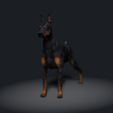 Doberman-Pinscher02.jpg Doberman Pinscher - DOG BREED - Canine -3D PRINT MODEL
