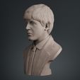 002.jpg Paul McCartney 3D print model