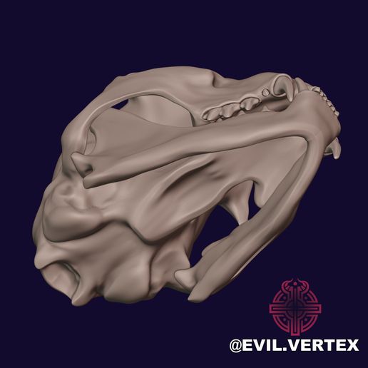 cat05.jpg Caveira de gato