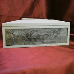 P1090696R.jpg Dinosaur tomb" box