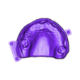 789513050_20241213_1252_Tech_01__H_flex_A3_redesign_UnsectionedModel_UpperJaw.stl DIGITAL FLEXIBLE UPPER PARTIAL DENTURE  (3D models !!!) - 7 stl files for download)