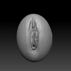 sdfbgn.jpg 3D file SCULPTED VAGINA N7・3D print object to download