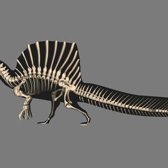 15.jpg Spinosaurus Complete Skeleton