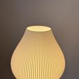 3D-printed-geometric-lampshade.jpg Tulip lampshade