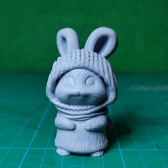 IMG_20230205_111215.jpg Fichier STL RABBIT・Design pour imprimante 3D à télécharger