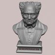 10.jpg Arthur Schopenhauer 3D printable sculpture 3D print model