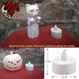 09.jpg SCARED CAT GHOST, a led pumpkin lamp, Halloween