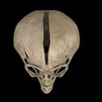 untitled.42.jpg Alien skull