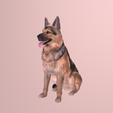 Captura.PNG German Shepherd