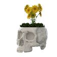 Low_02.jpg Skull Vase