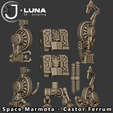 Insta_Heavy8.png Space Marmotas - Castor Ferrum