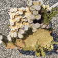 IMG20230611154624.png Colossal Tile Game Board, Mountain Basalt