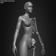 Female-Human-Skeleton-3D-Model-sculpted-by-Yacine-BRINIS-020.jpg Highly Detailed Human Skeleton (Female)