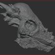 Schermafbeelding-2023-04-12-225400.png Pachycephalosaurus Skull
