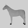 View5.jpg Horse 3D Models