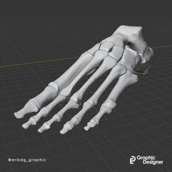Piede 2.jpg Anatomic Foot