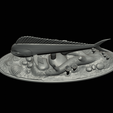 my_project-1-27.png mahi mahi / dorado / common dolphinfish underwater statue detailed texture for 3d printing