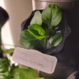 d9583c3c-228e-4cb8-9e97-e5d67bfc54dd.jpg Clip on plant labels for hydroponic tower