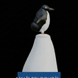 3.png Penguin ( BUT WHY?) 3d Printable