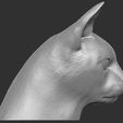 6.jpg Abyssinian cat head for 3D printing