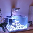1700946563985.jpeg Filtre interne pour aquarium recifal - Internal reef or fresh aquarium filter