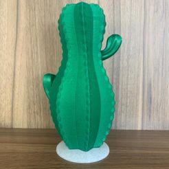 Jarrón de cactus, AlanBremm