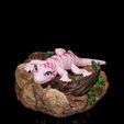 Gecko1.jpg Osga