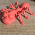 Lindo Flexi Print-in-Place Ant, Loloworlds