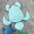 Baby-Sea-Turtle1.jpg Baby Sea Turtle