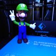 Luigi de los juegos de Mario - Multi-color, ChristopheJolly