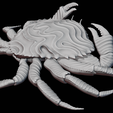 Cancer_03.png Cancer Zodiac Mystical Crab Creature Sculpture 3D print model