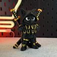 IMG_4856.jpg Ninja Cat