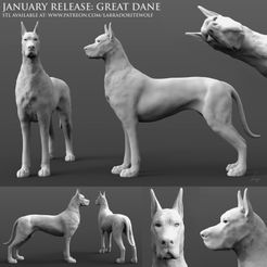 Great Dane Patreon Release.jpg Great Dane