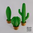 set_KaziToad.stl.jpg Mini Cactus set