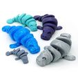 DSC01419-copia.jpg STL-Datei Articulated Manatee・3D-Druck-Idee zum Herunterladen