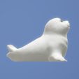 BB-phoque-4.jpg Baby seal ❄️