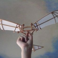 P1030214_display_large.jpg Archivo STL gratuito Leonardo Da Vinci - Ornithoper・Idea de impresión 3D para descargar