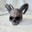 WhatsApp-Image-2023-05-16-at-23.11.56.jpeg Demon Skull Mate