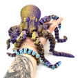 DSC01902.png 3D file Octopus 2.0・3D printable model to download, mcgybeer