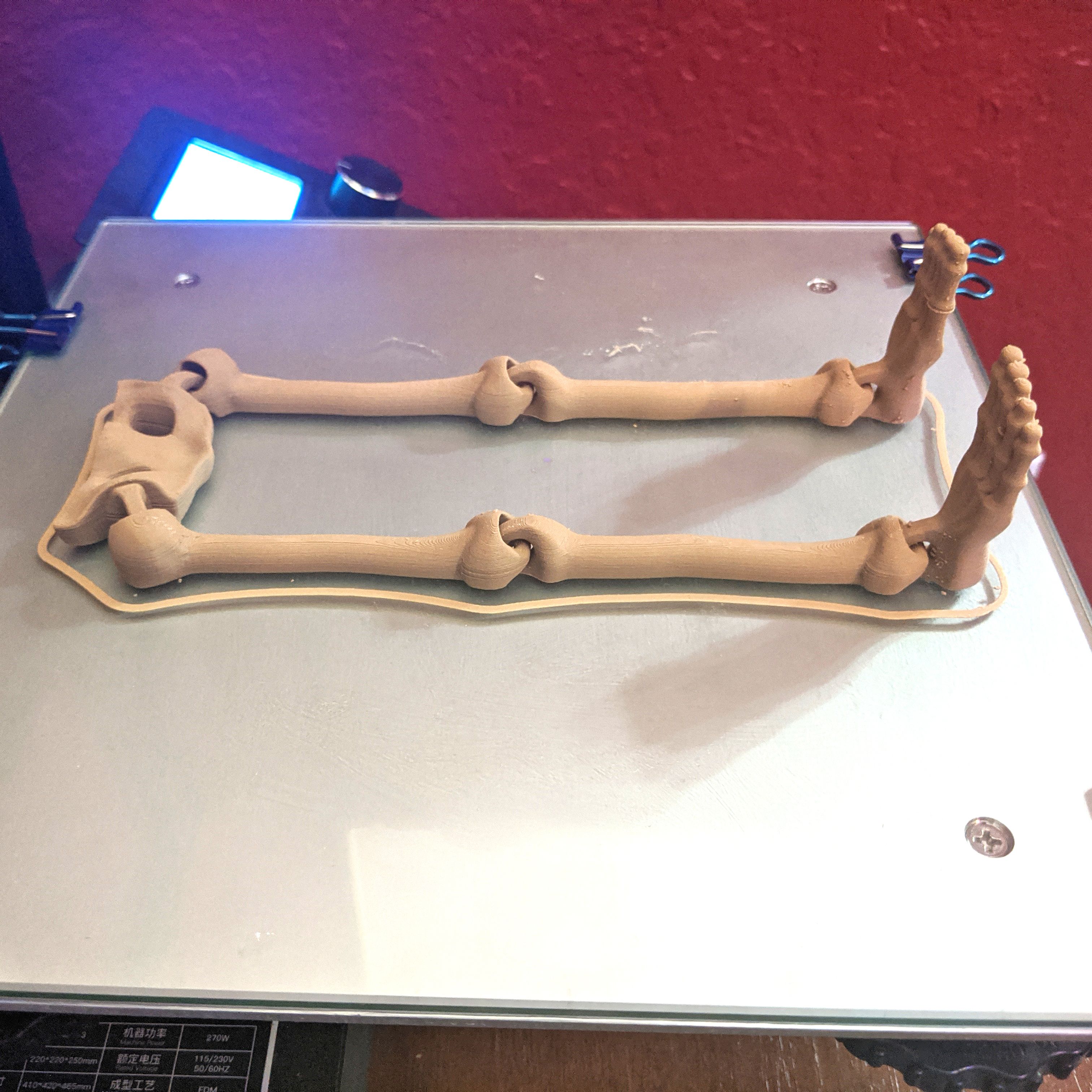 Skeleton_BigBot.jpg Descargar archivo STL Lindo esqueleto flexible para imprimir • Objeto para impresión 3D, FlexiFactory