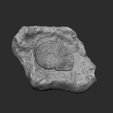 1.png Ammonite Mineral Fossile - Realistic Printable and Keychain