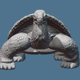 4.PNG Ancient Tortoise