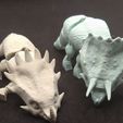 DSC_0201-1.jpg Articulated Ceratopsian Toys