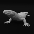 31-min.png Gila Monster Lizard - Realistc Venomous Reptile