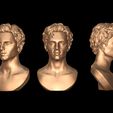 06.jpg Timothee Chalamet bust sculpture 3D print model